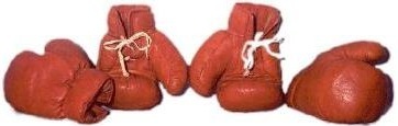 Boxing Glove Logo