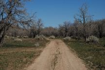 Cattle Graveyard Road
