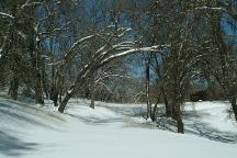 Breckenridge Winter Photo