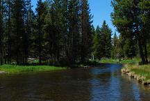 Cow Meadow and Deschutes River