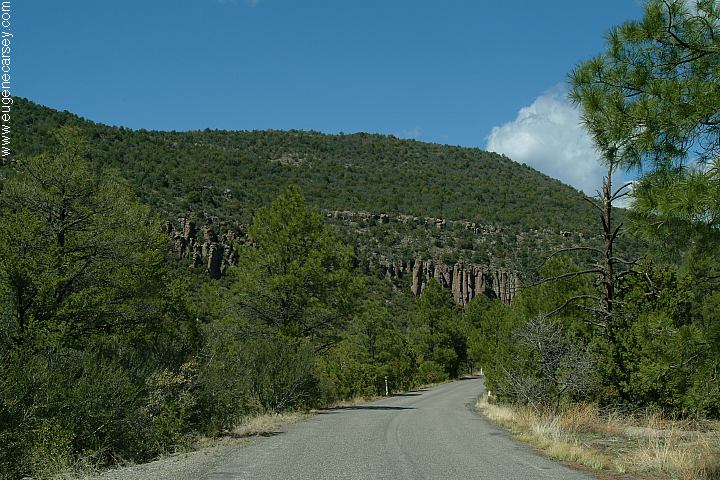 Free Campgrounds - Cherry Creek in Gila National Forest