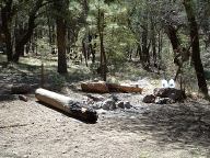 Campsites on Pinery Canyon Road