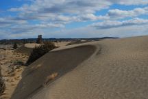 Christmas Valley Sand Dunes