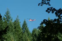 Helecopter used for Logging Operations