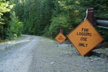 Road closed for logging