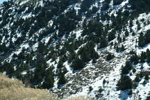 Snow along Highway 722