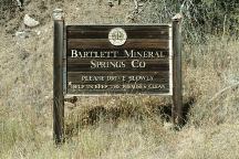 Bartlett Mineral Springs