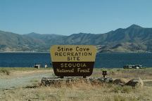 Stine Cove Recreation Site
