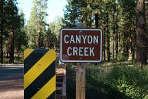 Canyon Creek Sign
