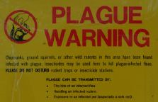 Plague Warning