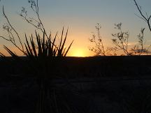 Sunset at Joshua Tree National Park