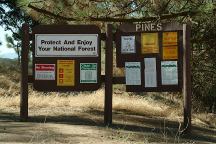 Miranda Pines Campground