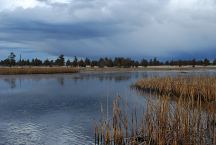 Mayfield Pond