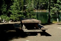 Campsite with Picnic Table