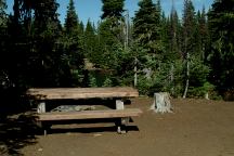 Campsite with Picnic Table