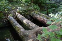 Historic Log Vehicular Bridge