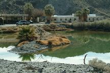 Zzyzx Road and Mineral Springs