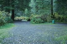 Campbell Tree Grove Campground