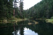 Satsop Lake