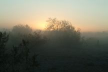 Sunrise blurred by the dust
