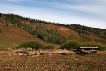 Dispersed Camps near Early Day Ranger Station