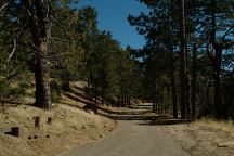 Reyes Peak Campground Road