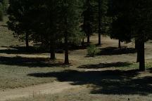 Marian Campground