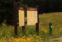 Information Sign at Sawmill Campground