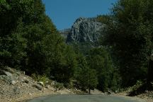 Road towards Salt Springs Dam
