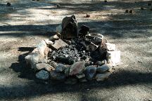 Lloyd Creek Campsite with Firepit