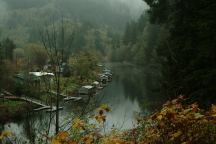 Alsea River from Canal Creek Road