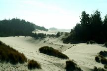 Oregon Dunes Overlook