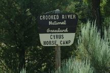 Cyrus Horse Camp