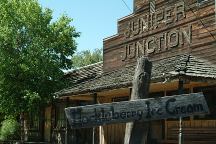 Juniper Junction