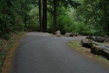 Smith River Falls Campground