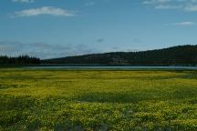 Sparks Lake