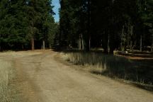 Road at 29 Pines Campground