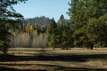 Teanaway Campground