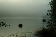 Fog from Upper Lake Creek Mill Pond