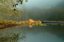 Fog from Upper Lake Creek Mill Pond