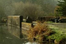 Upper Lake Creek Mill Pond