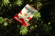 Marlboro Cigarette Pack