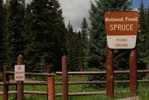 Spruce Picnic Area