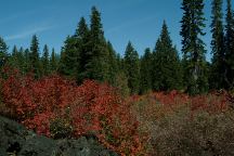 Autumn colors near Fish Lake