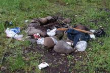 Litter in Firepit