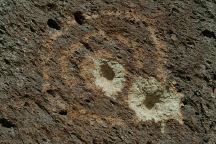 Petroglyphs used for Target Practice