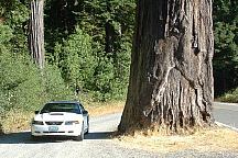 Newton B. Drury Scenic Parkway